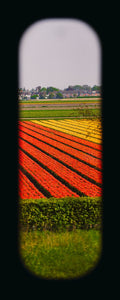 Field of View - Set of 4 (Windows XIII-XVI)