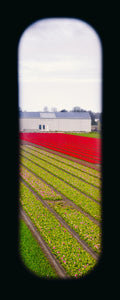 Field of View - Set of 4 (Windows XVII-XX)
