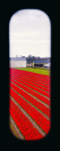Field of View - Set of 4 (Windows XVII-XX)