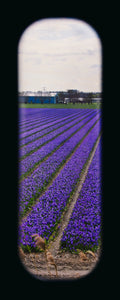 Field of View - Set of 4 (Windows XXI-XXIV)
