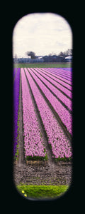 Field of View - Set of 4 (Windows XXIX-XXXII)