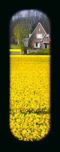 Field of View - Set of 4 (Windows I-IV)