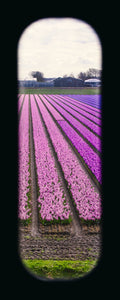 Field of View - Set of 4 (Windows XXIX-XXXII)
