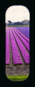 Field of View - Set of 4 (Windows XXIX-XXXII)