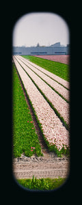 Field of View - Set of 4 (Windows XXXVII-XXXX)