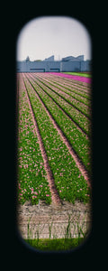 Field of View - Set of 4 (Windows XXXVII-XXXX)