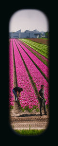 Field of View - Set of 4 (Windows XXXVII-XXXX)