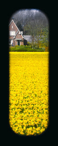Field of View - Set of 4 (Windows I-IV)
