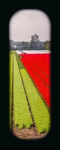 Field of View - Set of 4 (Windows V-VIII)