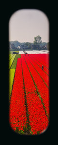 Field of View - Set of 4 (Windows V-VIII)
