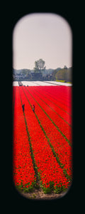 Field of View - Set of 4 (Windows V-VIII)