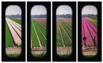 Field of View - Set of 4 (Windows XXXVII-XXXX)