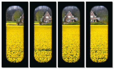 Field of View - Set of 4 (Windows I-IV)