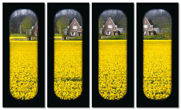 Field of View - Set of 4 (Windows I-IV)
