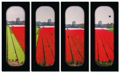 Field of View - Set of 4 (Windows V-VIII)