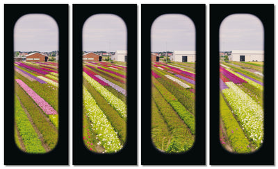 Field of View - Set of 4 (Windows IX-XII)