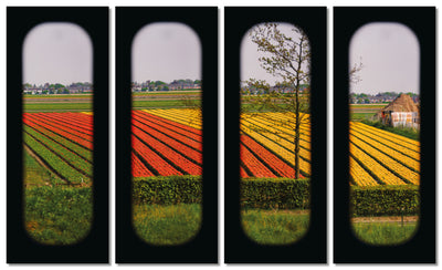 Field of View - Set of 4 (Windows XIII-XVI)