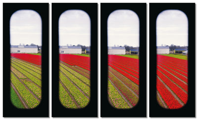 Field of View - Set of 4 (Windows XVII-XX)