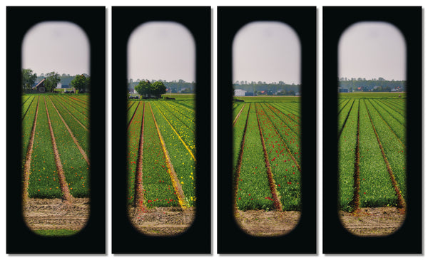 Field of View - Set of 4 (Windows XXV-XXVIII)