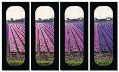 Field of View - Set of 4 (Windows XXIX-XXXII)
